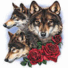☆~Wolves and Roses~☆ 