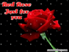 Red Rose Just for you