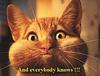 who farted?