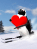 penguine love