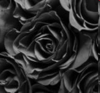 black roses