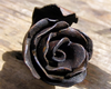 an iron rose