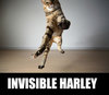 Invisible Harley