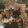 wazzup!