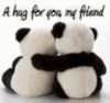 A Hug For U My Friend!