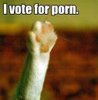 i vote for...
