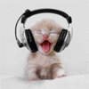 Headphone kitty