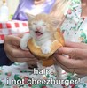 Kitty Burgr