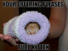 Tube Kitten