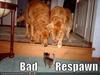 Bad Respawn :'(