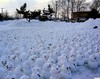 Snow Army