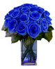 Exquisite Blue Roses