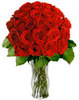 Classic Red Roses