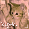 kitty rawr