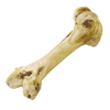 bone