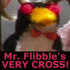 a VERY CROSS Mr. Flibble