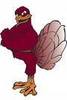 Hokie Bird