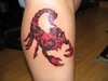 Scorpion tattoo