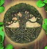 Tree of Life