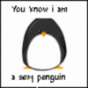 A Sexy Penguin