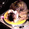 a spin