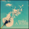 make a wish