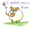 A Flower (sheep included!)