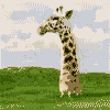 over Compensating Giraffe!