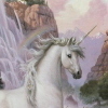 a unicorn