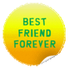 Best Friend Forever badges