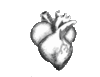 Le Human Heart.