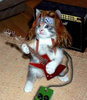 Rock on kitty