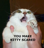 you scares da kitty