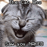 the cat that saw u naked