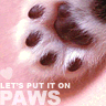 lets put it on paws