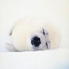 Sleep with Me- I'm Cold