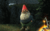 Adventures in Gnome Land