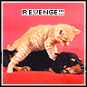 Kitty's Revenge!