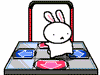 DDR player Bunny♥