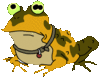 Hypno toad