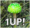 Real 1-Up Mushroom