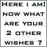 What Are Your Other 2 Wishes?