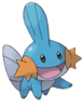 Mudkip