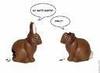 Chocolate rabbits