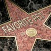 a star on the walk of fame