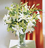 White Lilly Bouquet