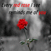 Beauty Like a Rose