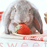 a Strawberry
