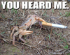 arguing crab.