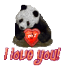 panda's gift